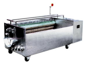 高效便捷 山藥清洗機的應用與優勢