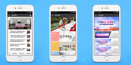 果動科技與柳州領(lǐng)行觀達攜手打造柳州禁毒微信公眾號